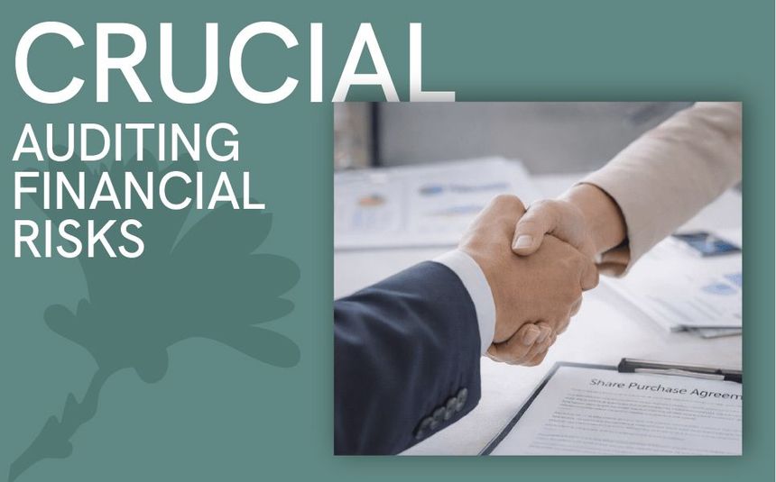 _Crucial_auditing financial risks.jpg